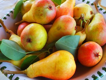 antiche macine del salento bandb