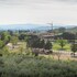assisi