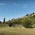 assisi