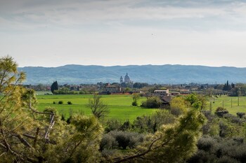 assisi