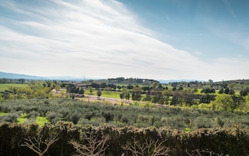 assisi