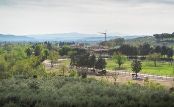 assisi