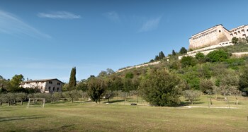 assisi