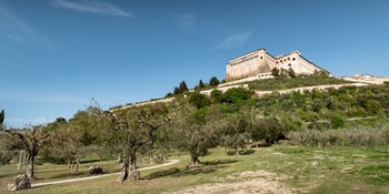assisi