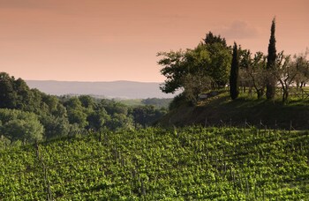 agriturismo poggio bonelli