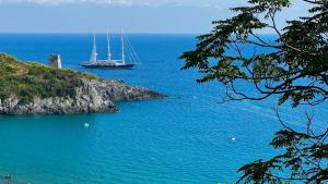 camerota