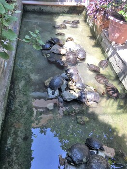 Oasi Del Gabbiano,Fanusa>>Carrozziere,3 star