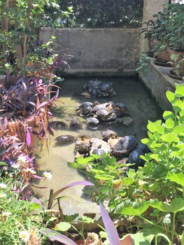 Oasi Del Gabbiano,Fanusa>>Carrozziere,3 star