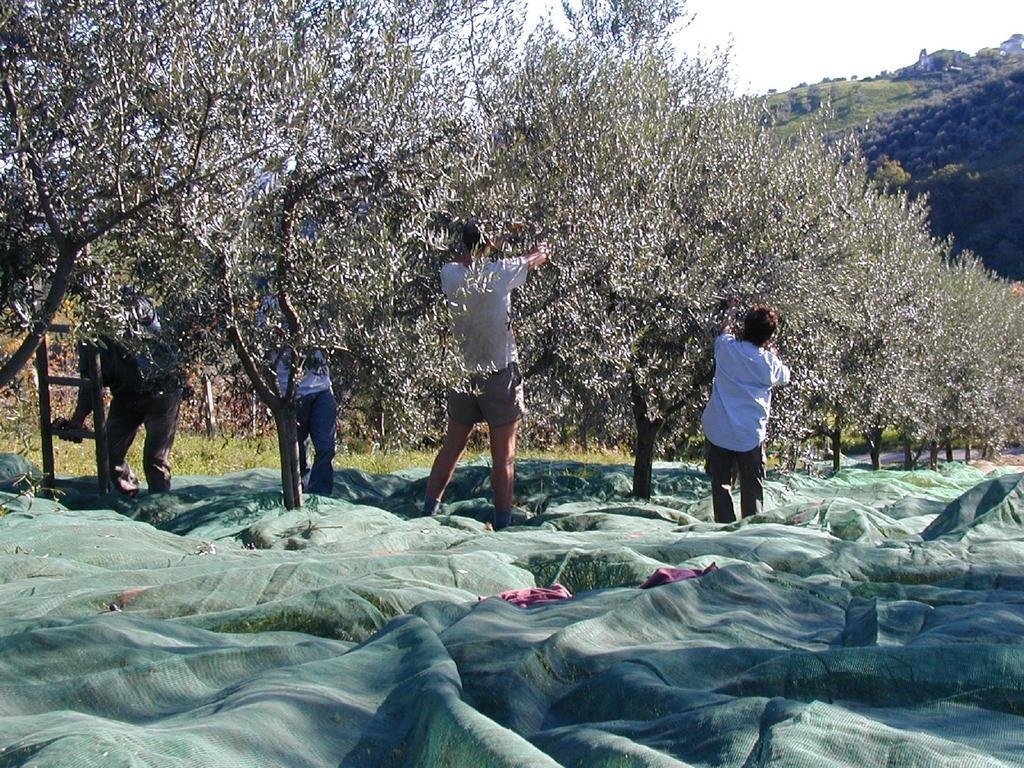 agriturismo il portico