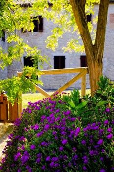 Castello Di Titignano,Orvieto>>Monte Castello Di Vibio,3 star