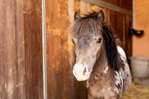 bandb agriturismo tenuta barone