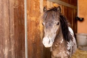 bandb agriturismo tenuta barone