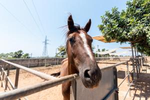 bandb agriturismo tenuta barone