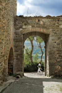 sarteano