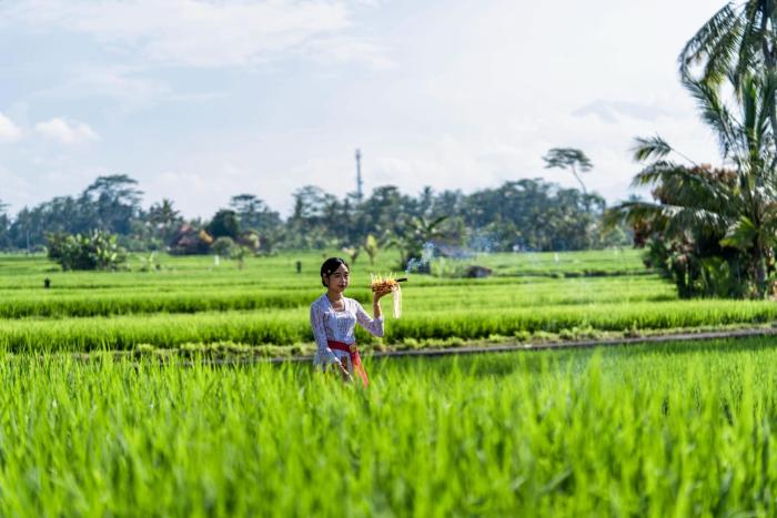 kubu bali baik villa and resort