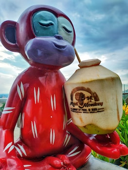 maxone hotels at ubud