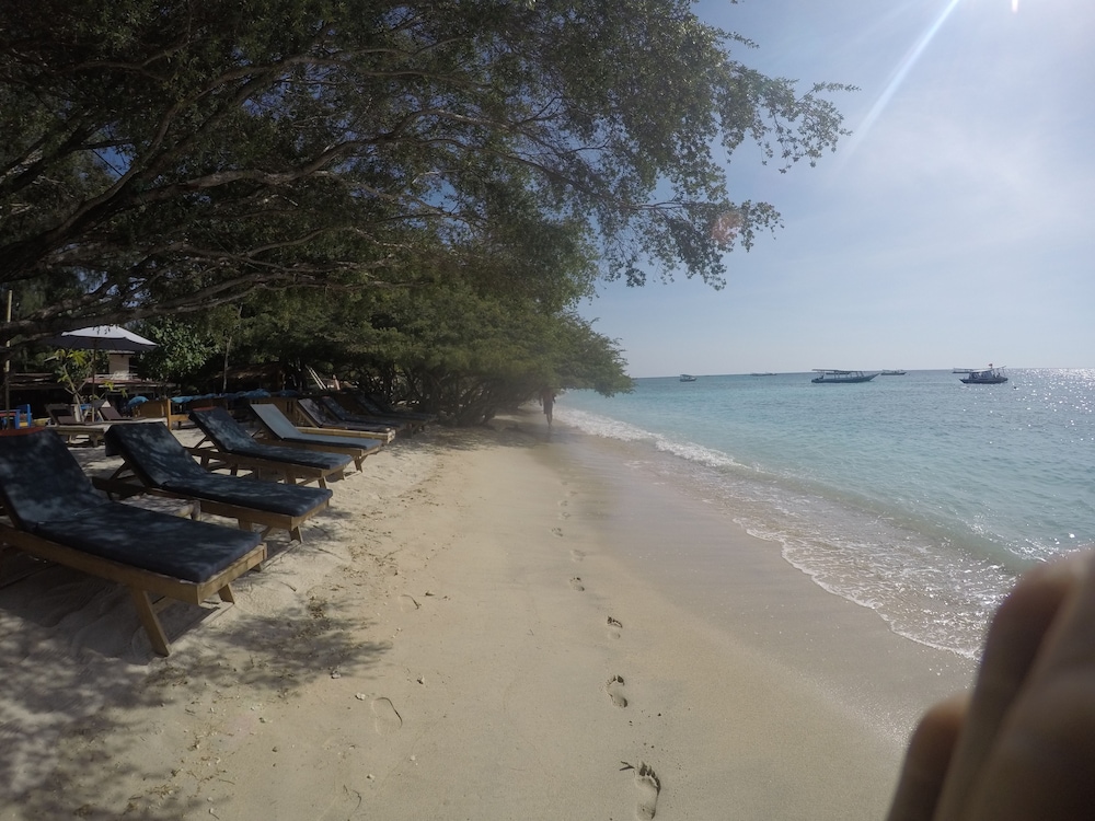 coral beach 2 bungalow