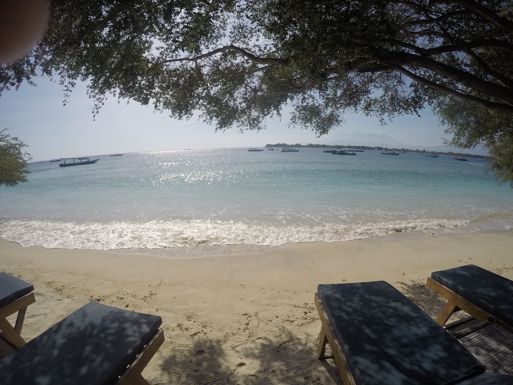 coral beach 2 bungalow