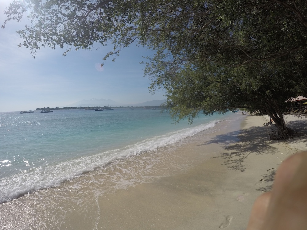 coral beach 2 bungalow