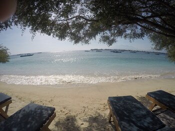 coral beach 2 bungalow