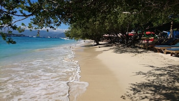 coral beach 2 bungalow