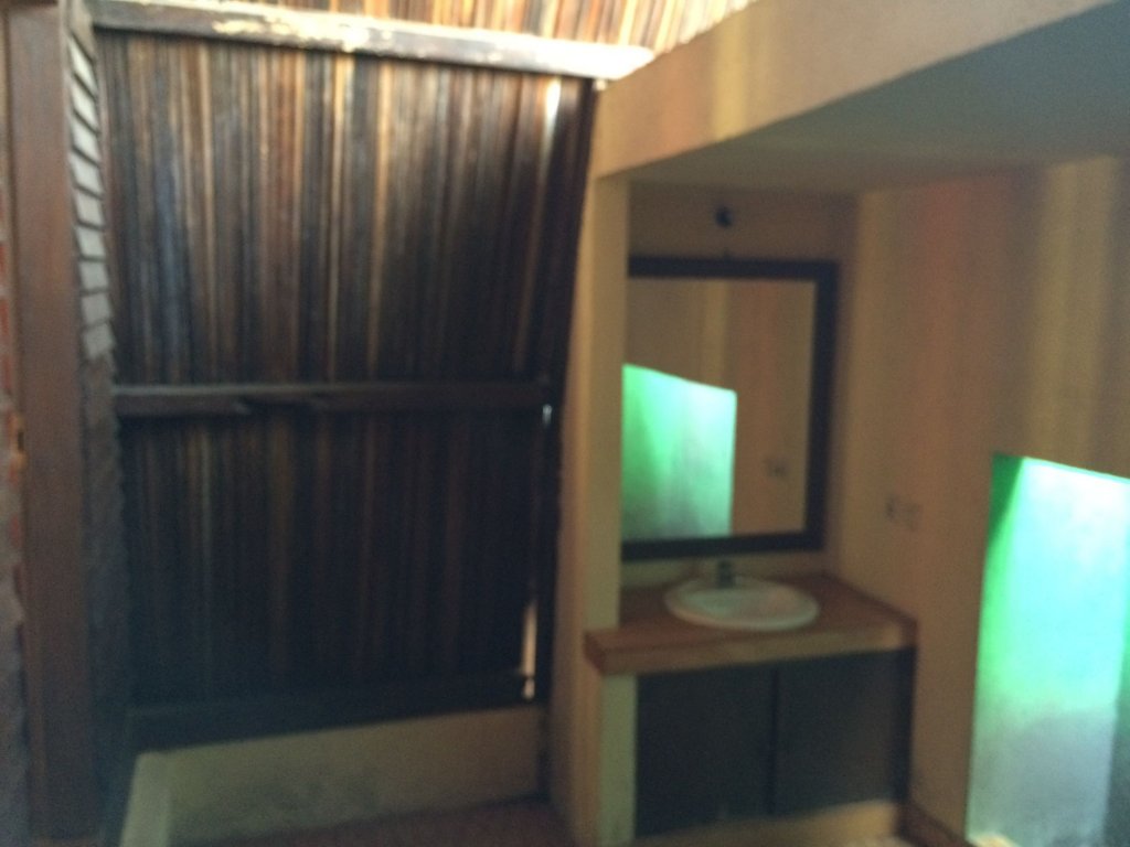 coral beach 2 bungalow