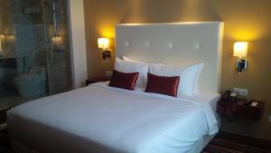 royal asnof hotel