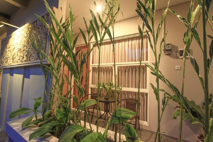bali true living apartment
