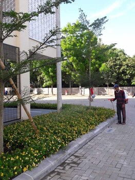 Wing Hotel Kualanamu Airport,Medan>>Binjai,4 star