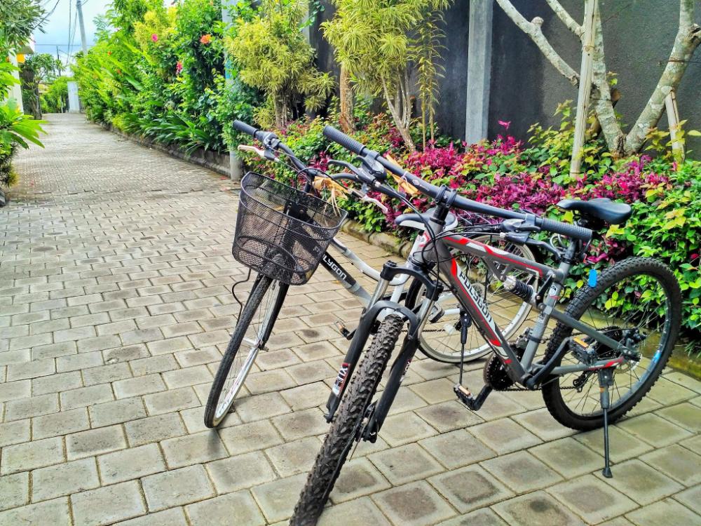 canggu
