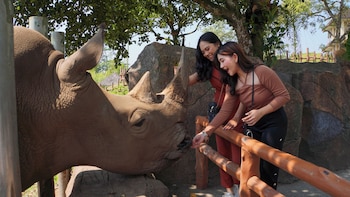 baobab safari resort