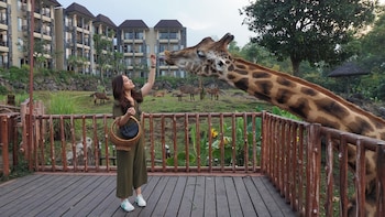 baobab safari resort
