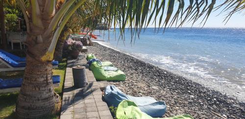 nalini resort