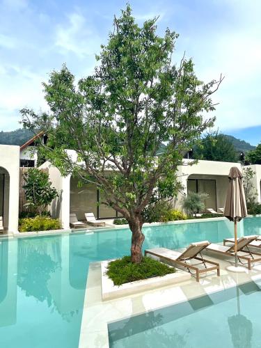 eden resort and villas