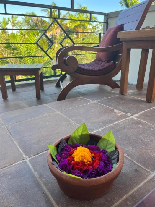 samas cottages and villas