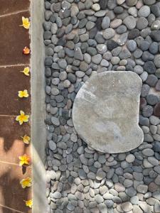 samas cottages and villas