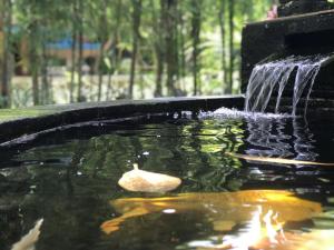 samas cottages and villas