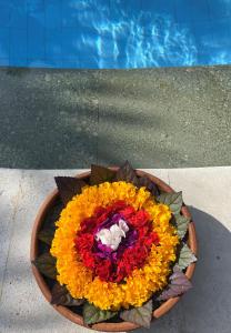 samas cottages and villas