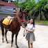 imelda hotel waterpark convention