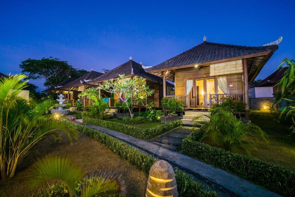 bali belva