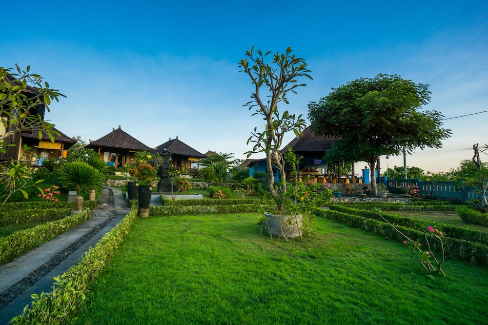 bali belva