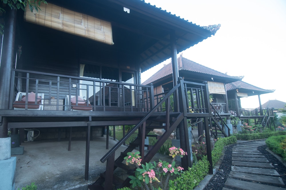 bali belva