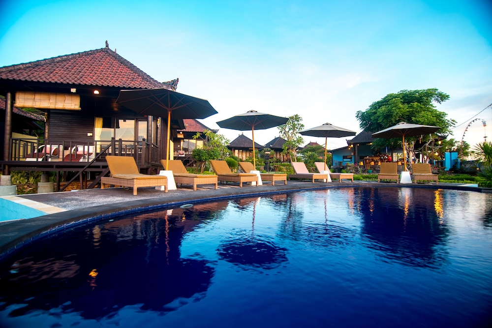 bali belva