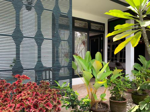 griya cemara homestay