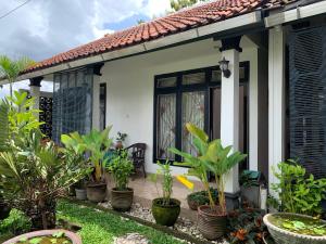 griya cemara homestay