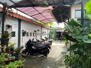 griya cemara homestay