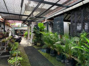griya cemara homestay