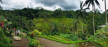 ubud