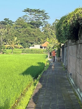 ubud
