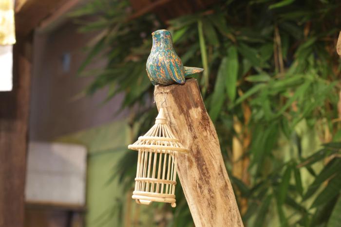 green bird villa